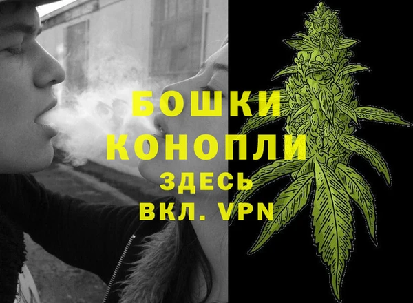 молекула духа Переславль-Залесский