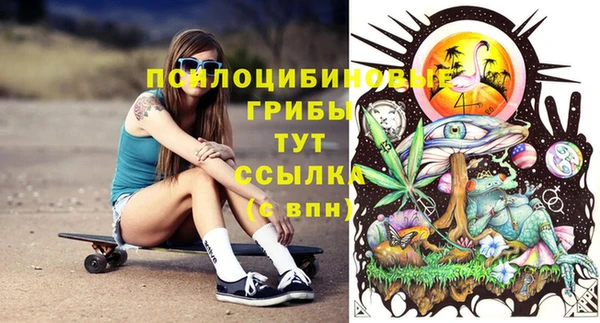 амфетамин Алексеевка