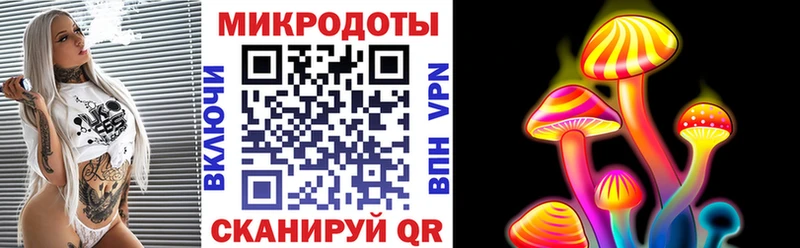 Псилоцибиновые грибы мицелий  Алексеевка 