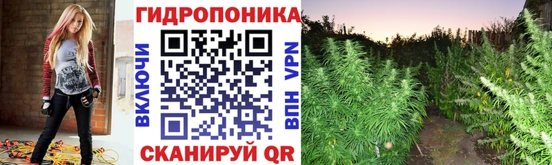 Канабис марихуана  OMG сайт  Алексеевка 